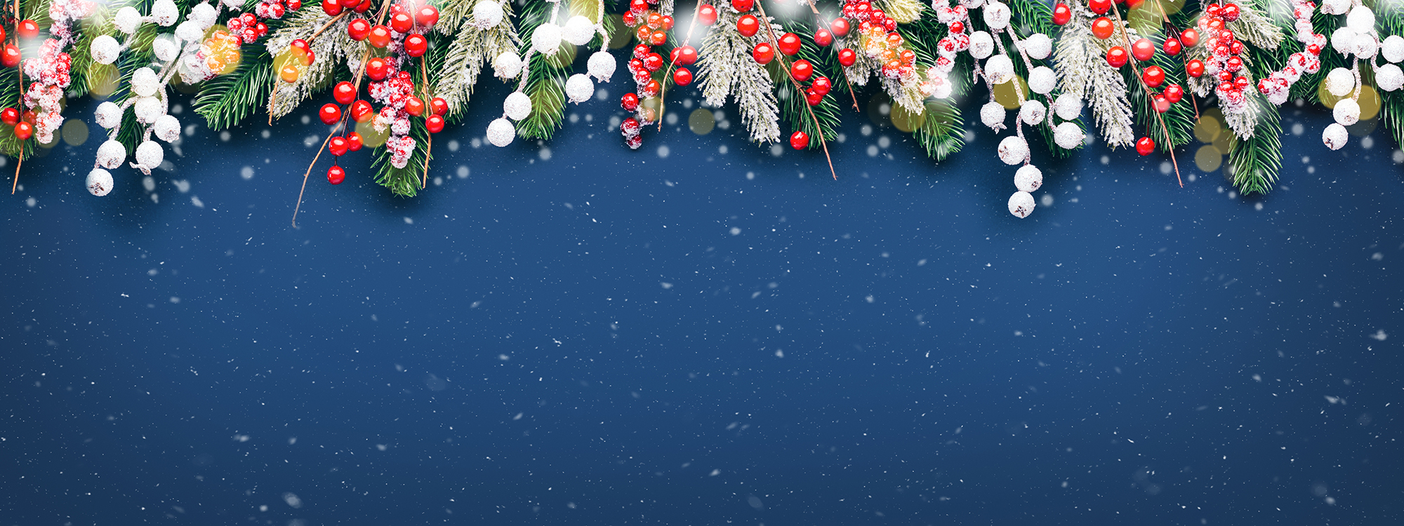Frohe Weihnachten - PhV NRW
