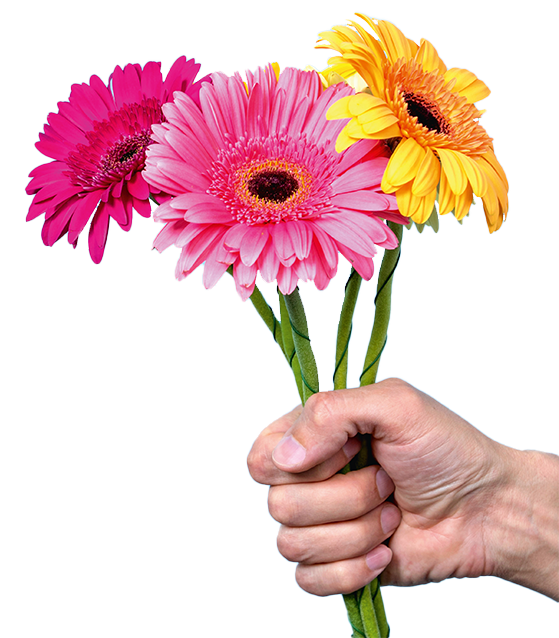 Danke Blumen