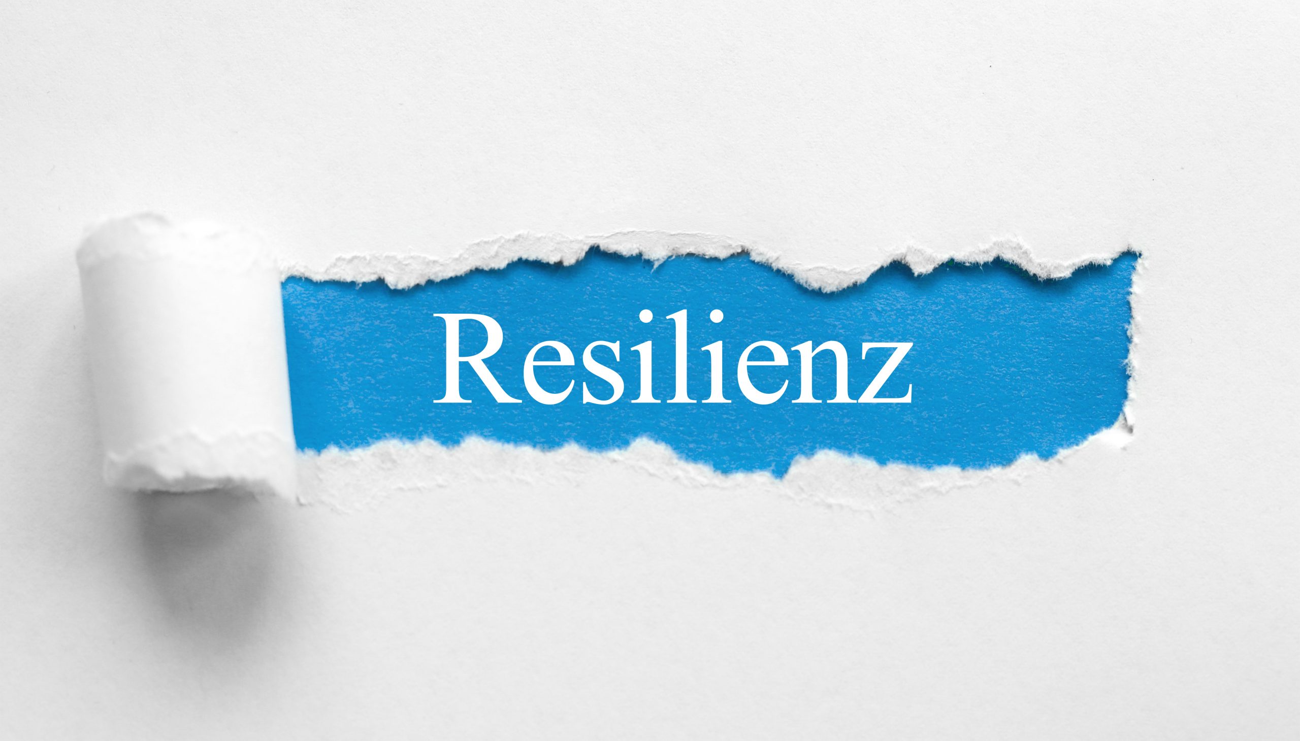 Resilienz